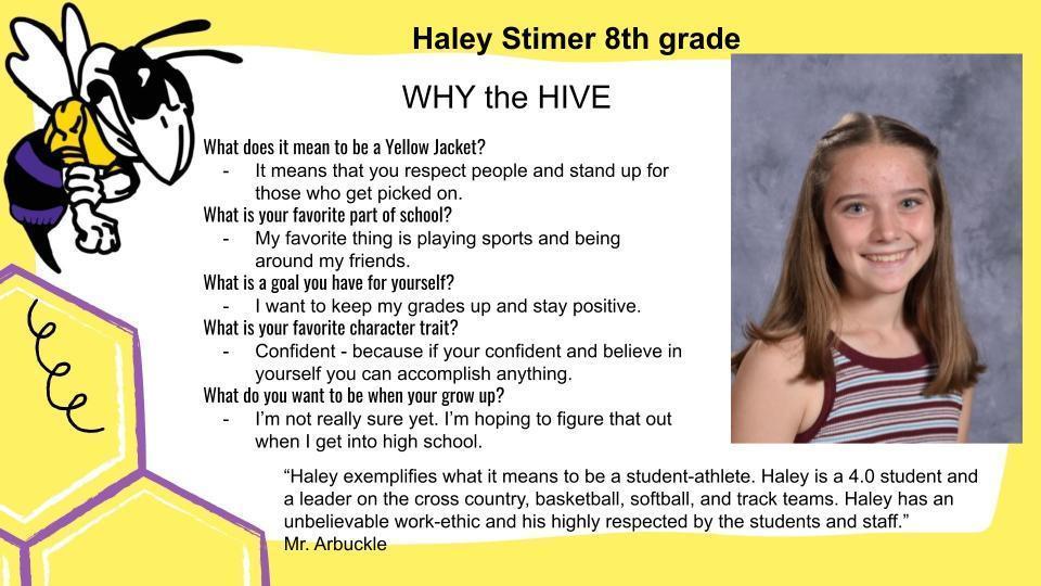 Why the Hive?